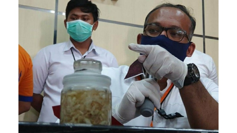 Polda Jatim Gagalkan Penyelundupan Benih Lobster Senilai Miliaran Rupiah