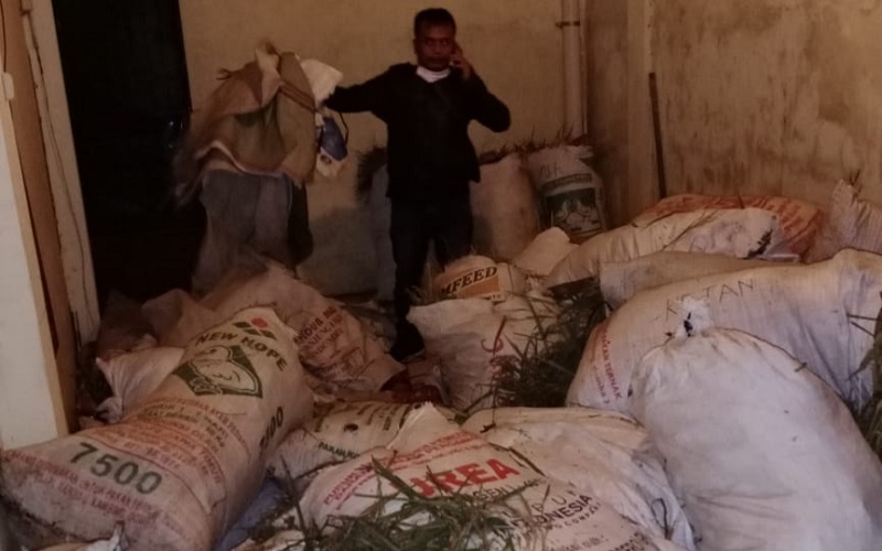 Mengaku Terdesak Ekonomi, Satu Keluarga di Sleman Curi 40 Karung Gabah