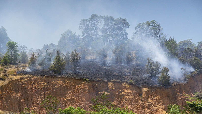 Titik Panas akibat Kebakaran Hutan di Kepulauan Riau Bertambah - Bagian 2