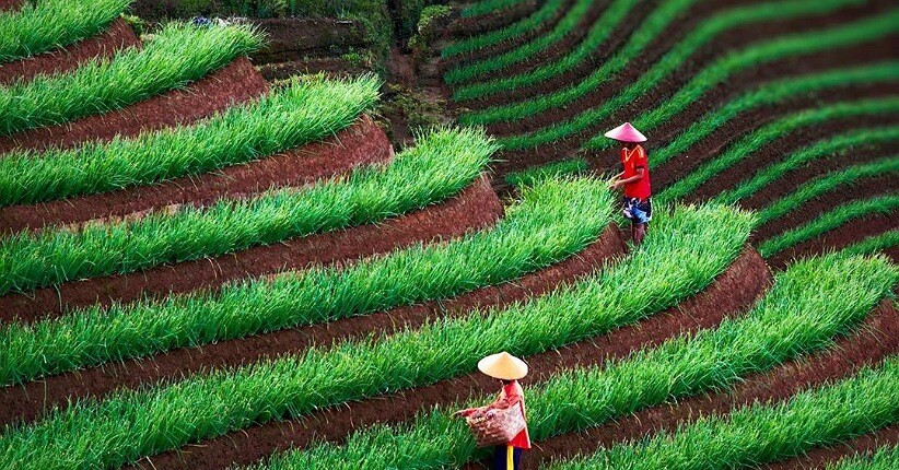 Mengenal 5 Desa Wisata Baru yang Terkenal Eksotis di Indonesia