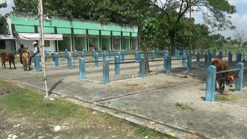 Dampak Corona, Aktivitas Jual Beli di Pasar Hewan Bojonegoro Nyaris Lumpuh