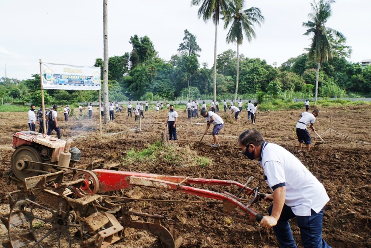 Pandemi Covid-19, Lantamal VIII Garap Lahan untuk Jaga Ketahanan Pangan