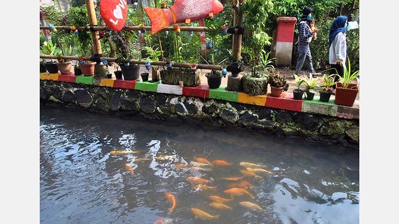 Dulu Penuh Sampah, Selokan di Cibenda Bogor Kini Dijadikan Tempat Budidaya Ikan - Bagian 2