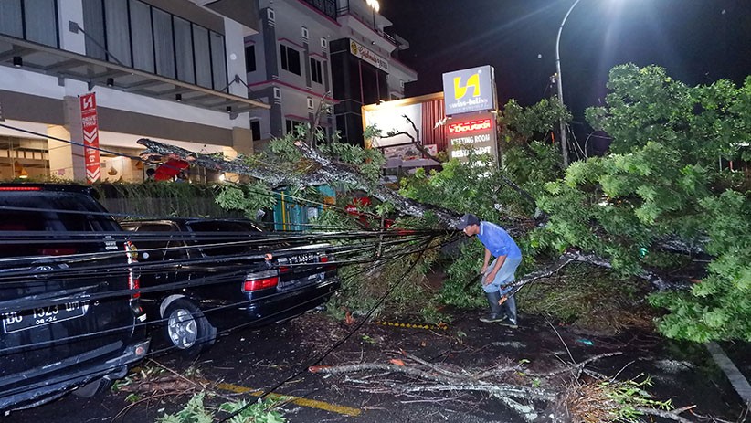 Angin Kencang, Pohon Tumbang Timpa Mobil di Medan - Bagian 1