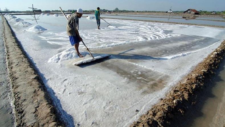 Wow, Kualitas Garam Produksi Kepulauan Tanimbar Jadi yang Terbaik di  Indonesia - Bagian 1