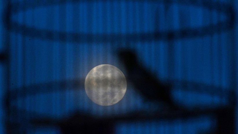 Penampakan Supermoon Terakhir Tahun 2020 di Langit Jakarta - Bagian 1