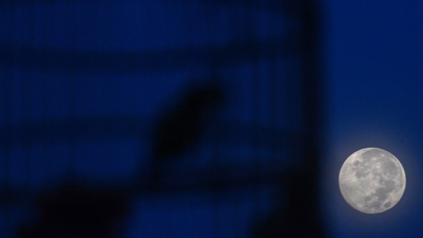 Penampakan Supermoon Terakhir Tahun 2020 di Langit Jakarta - Bagian 3