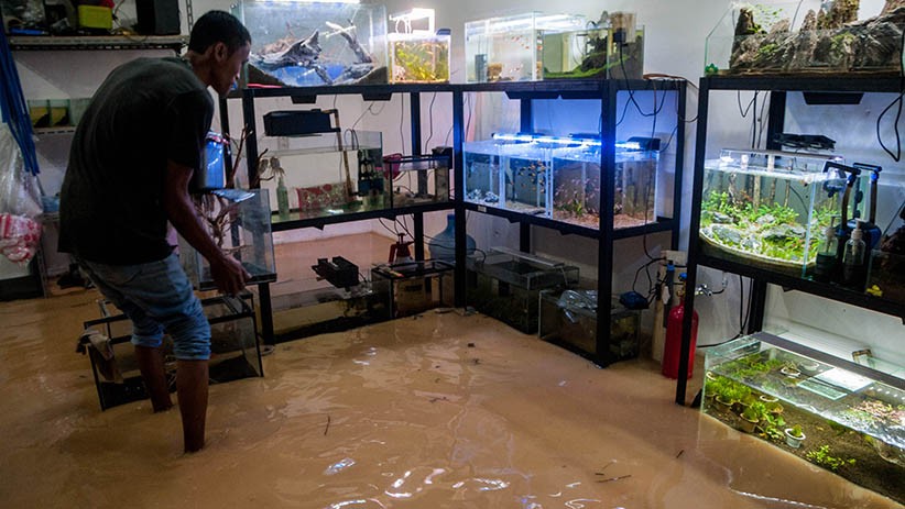 Drainase Buruk, Desa di Lebak Terendam Banjir - Bagian 2