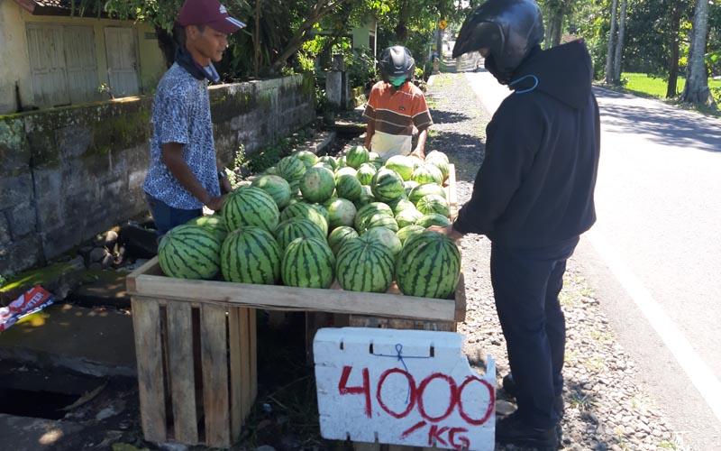 title Ramadan Sepi, Penjual Semangka: Tahun Lalu Sehari Habis 6 Kuintal Ramadan Sepi, Penjual Semangka: Tahun Lalu Sehari Habis 6 Kuintal