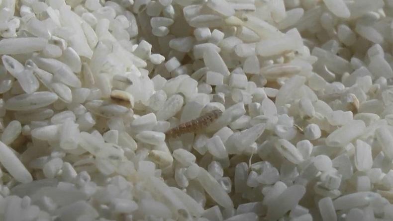 title Beras Bantuan BPNT di Tuban Tak Layak Konsumsi, Dinas Sosial Akan Ganti dengan yang Lebih Baik Beras Bantuan BPNT di Tuban Tak Layak Konsumsi, Dinas Sosial Akan Ganti dengan yang Lebih Baik