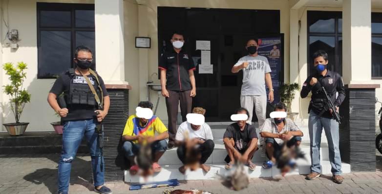 Timsus Maleo Polda Sulut Bongkar Judi Sabung Ayam di Manado, 4 Orang Ditangkap