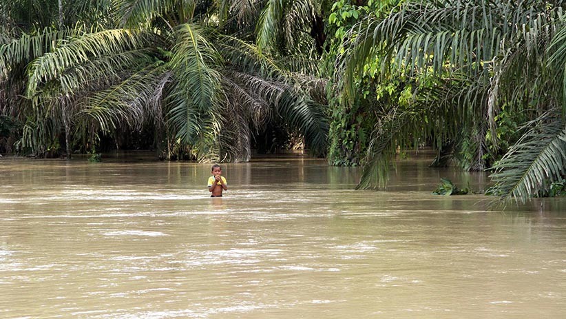 Lima Kecamatan di Aceh Utara Terendam Banjir akibat Sungai Meluap - Bagian 2