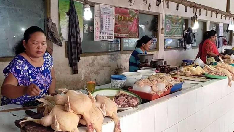 Harga Ayam Potong di Yogyakarta Merangkak Naik Jadi Rp42.000 per Kg