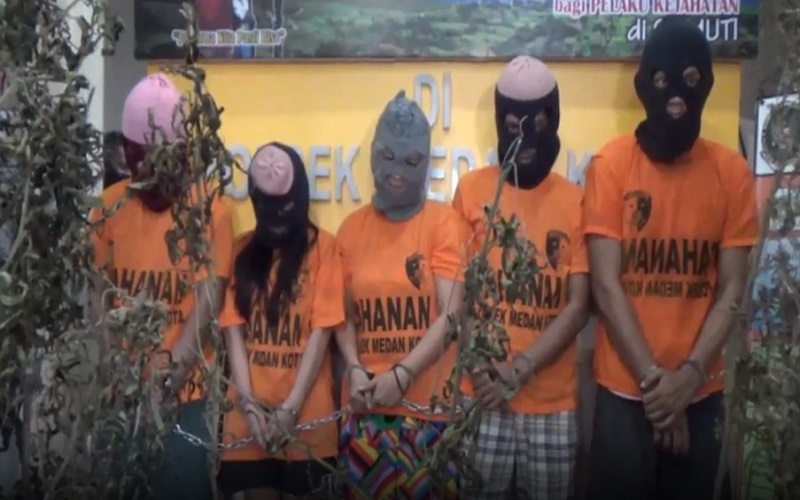 Polisi Gerebek Kebun Ganja di Atas Ruko di Medan, Rencana Diedarkan saat Idul Fitri