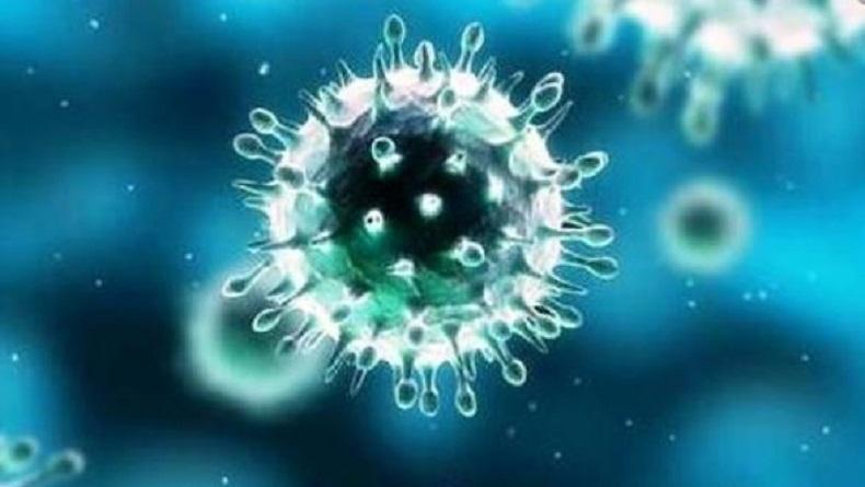 Munculnya Virus BtSY2 Mirip Covid-19 Bikin Heboh, Sudah Menyebar ke Manusia?
