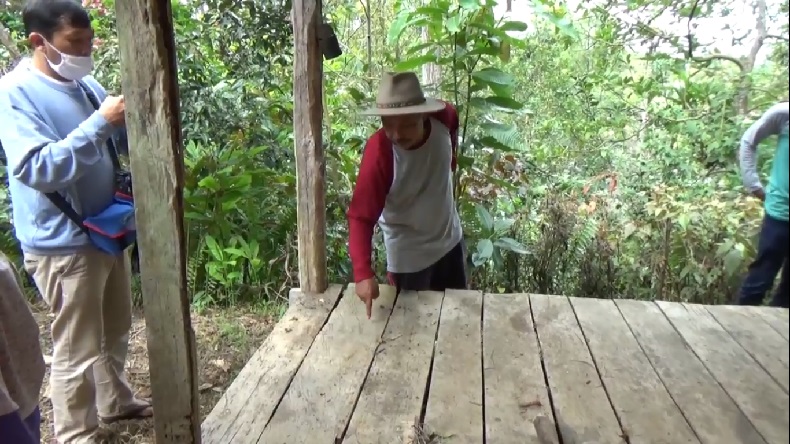 Tiga Ekor Harimau Sumatera Teror Warga di Solok saat Momen Lebaran