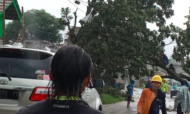 Puting Beliung Terjang Sukabumi, Puluhan Rumah Rusak-Pohon Tumbang