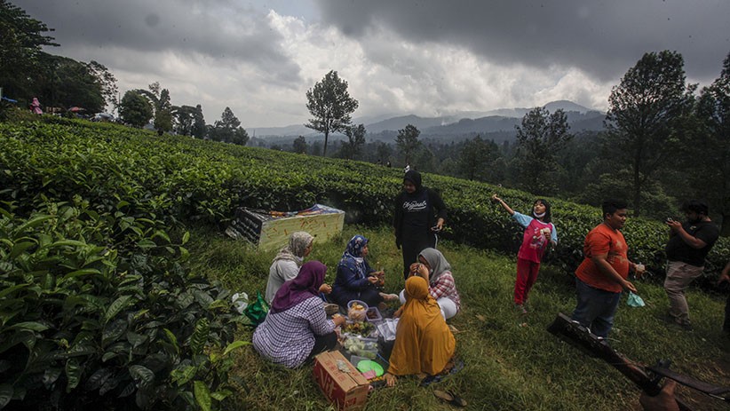 Libur Akhir Pekan, Kawasan Puncak Bogor Ramai Wisatawan - Bagian 2