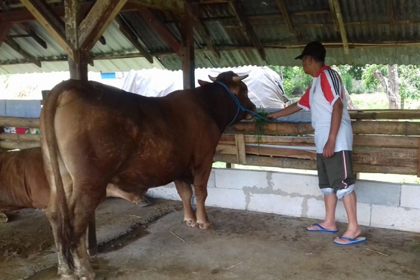 Jaga Ketahanan Pangan, Korem 081 Madiun Ajak Masyarakat Beternak dan Bertani Mandiri