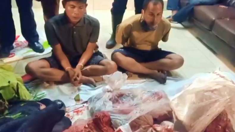 Asyik Potong Daging di Hutan, 2 Pencuri Hewan Ternak Ditangkap Polisi