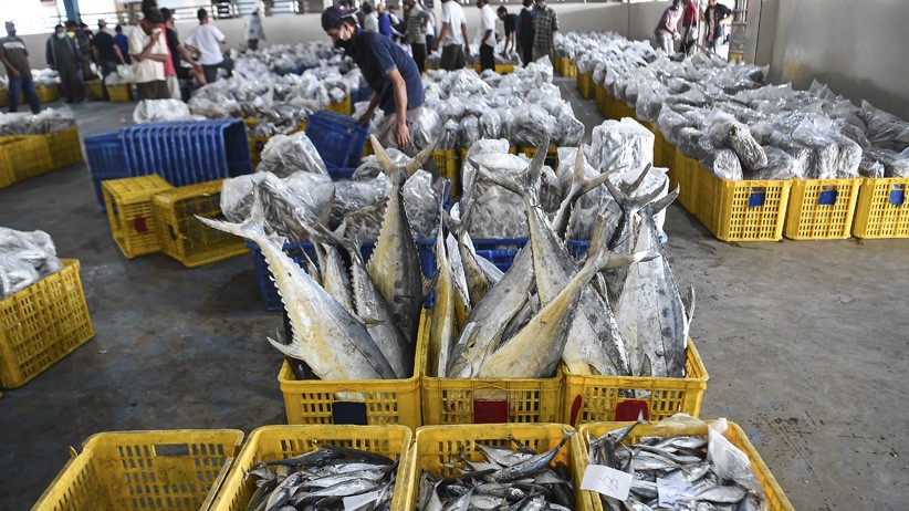 Tempat Pelelangan Ikan Muara Angke Kembali Dibuka - Bagian 1