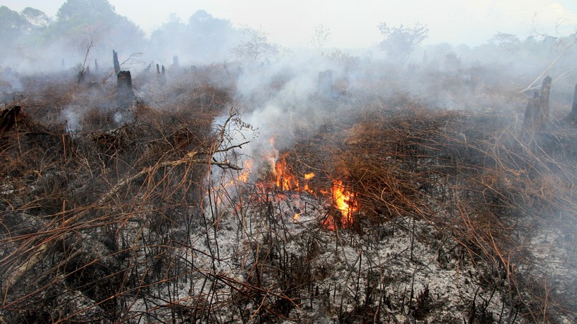 40 Hektare Lahan Gambut di Kota Pontianak Terbakar