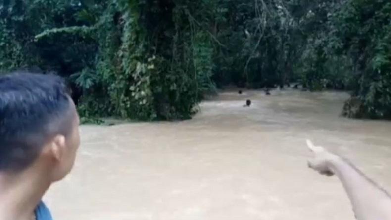 title Orang Tua Nekat Lewati Banjir di OKU, Bayi 10 Bulan Jatuh dan Hanyut Terbawa Arus Orang Tua Nekat Lewati Banjir di OKU, Bayi 10 Bulan Jatuh dan Hanyut Terbawa Arus