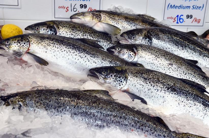 China Setop Impor Ikan Salmon Pascatemuan Virus Corona di