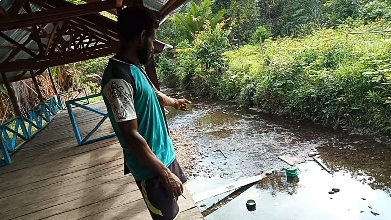 Bukan di Sungai, Dermaga Keerom Dibangun di Lokasi Babi Hutan Cari Makan