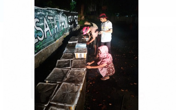 BBKSDA Sumut Gagalkan Pengiriman Ribuan Burung Prenjak dari Bandara Kualanamu