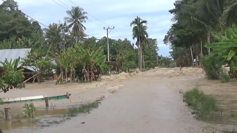 Hujan Deras Berhari-hari, Banjir Rendam Ratusan Rumah di 6 Kecamatan Luwu