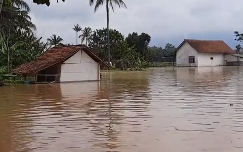 Banjir Tasikmalaya Belum Surut, Kepala Desa: Ada 500 KK Terisolasi Banjir Tasikmalaya Belum Surut, Kepala Desa: Ada 500 KK Terisolasi