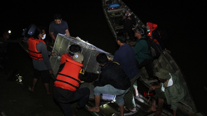 Momen Harimau Sumatera Dilepas ke Taman Nasional Gunung Leuser - Bagian 5
