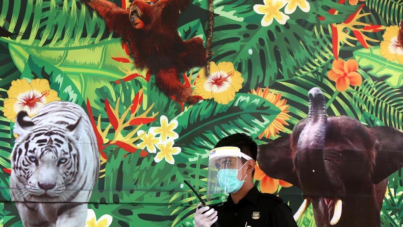Kebun Binatang Surabaya Siapkan Protokol Kesehatan Jelang Dibuka - Bagian 1