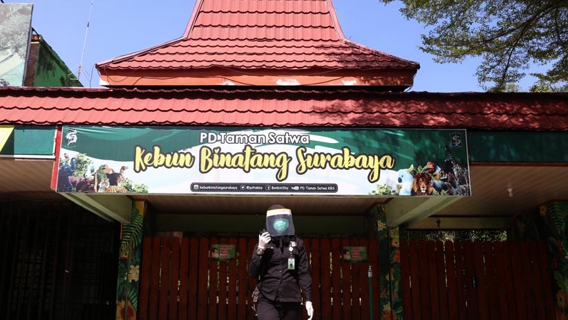 Kebun Binatang Surabaya Siapkan Protokol Kesehatan Jelang Dibuka - Bagian 2