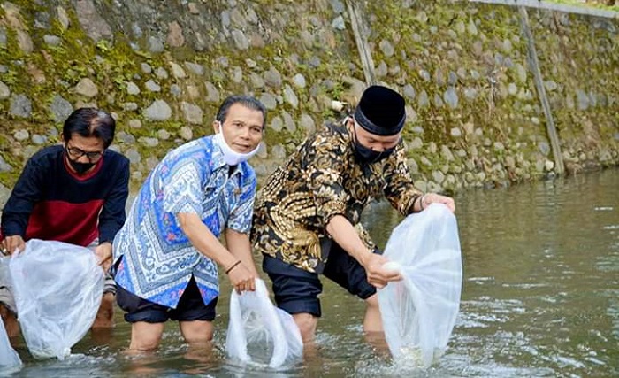 Manfaatkan Sungai, Wali Kota Padang Tebar 20.000 Bibit Ikan Garing di Lubuak Begalung