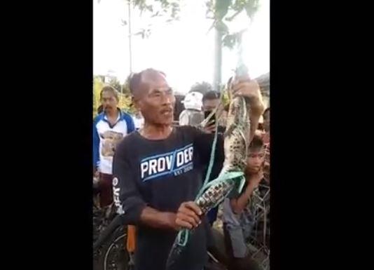 Warga Tangkap Buaya di Waduk Jatigede karena Meresahkan