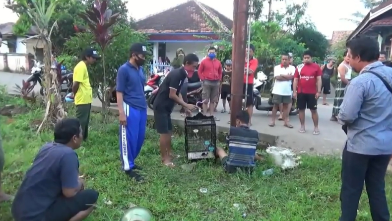 Tepergok Buang Kandang, Pencuri Burung di Palembang Nyaris Tewas Dihajar Warga