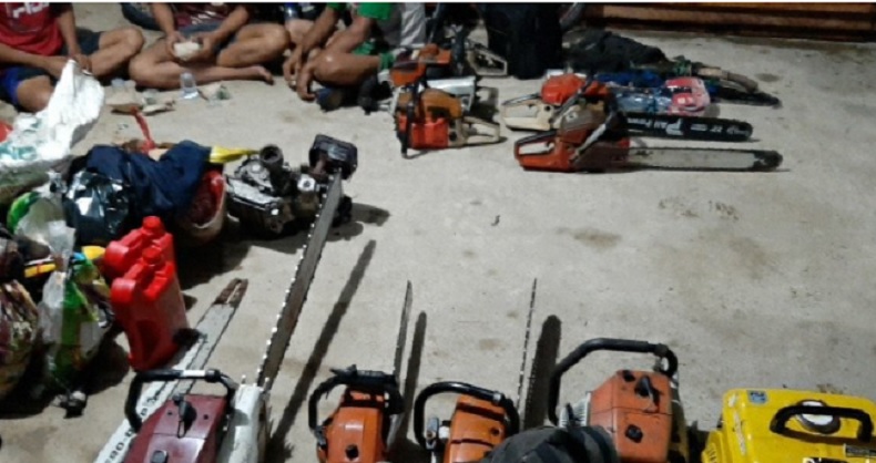  3 Pelaku Pembalakan Liar di Hutan Pendidikan Untan Jadi Tersangka