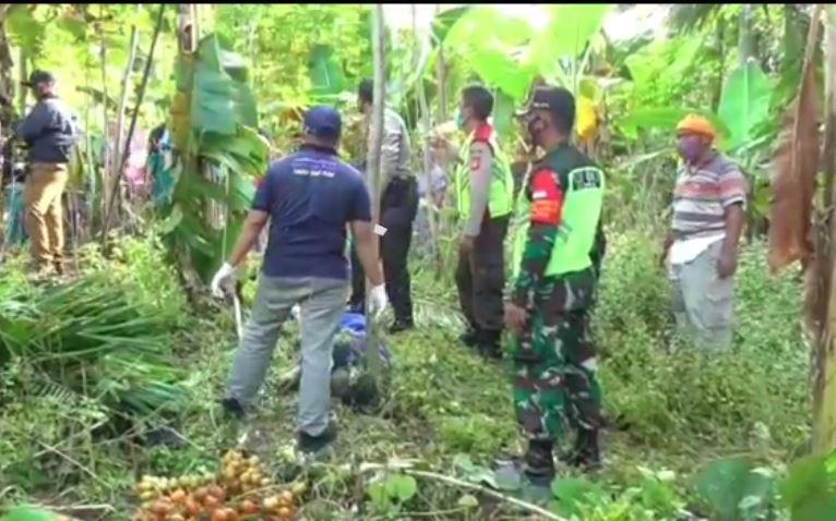title Hilang selama 2 Hari, Pria Pencari Buah Pinang di Ciamis Ditemukan Tewas Hilang selama 2 Hari, Pria Pencari Buah Pinang di Ciamis Ditemukan Tewas