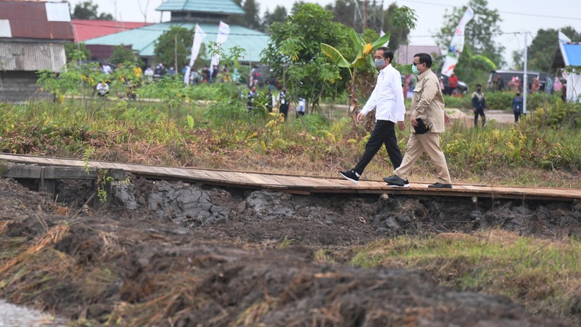 Presiden Jokowi dan Menhan Prabowo Tinjau Lumbung Pangan Baru di Kapuas - Bagian 2