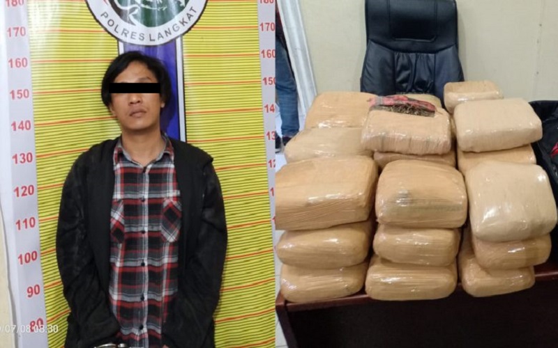 Naik Bus Bawa Ganja 30 Kg, Warga Bandung Ditangkap Polisi di Langkat