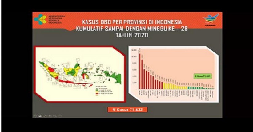 Kemenkes Ungkap Ada 71.633 Kasus Demam Berdarah di Indonesia Sepanjang 2020