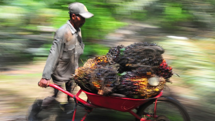 Permintaan Produk Sawit Dunia Mulai Naik - Bagian 2