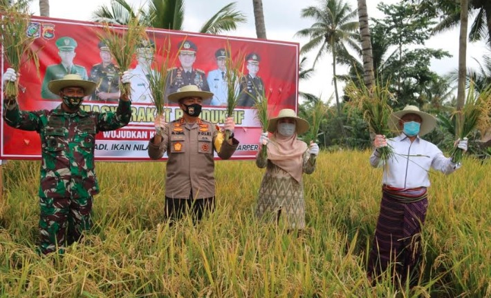 title Panen Raya di Lombok Timur, Kapolda NTB Dorong Kampung Tangguh di Seluruh Wilayah Panen Raya di Lombok Timur, Kapolda NTB Dorong Kampung Tangguh di Seluruh Wilayah