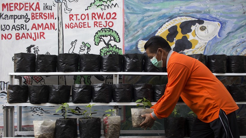 Jaga Ketahanan Pangan, Warga Surabaya Luncurkan Kampung Sayur - Bagian 2