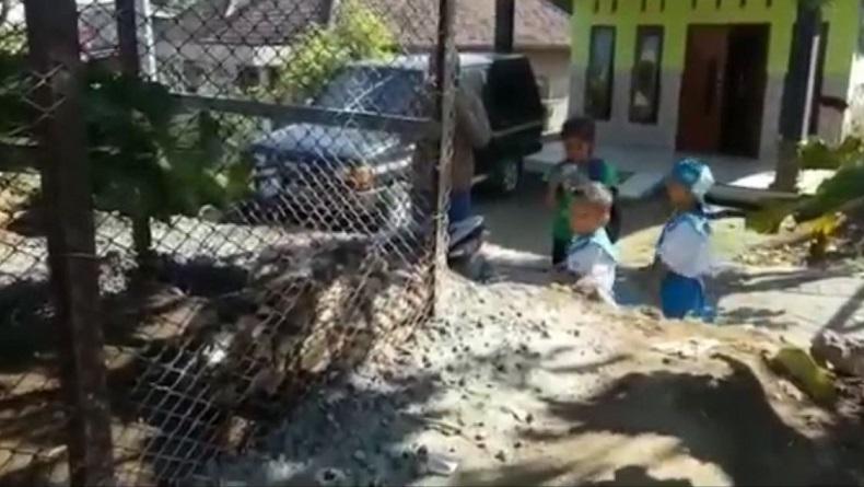 title Ketahuan Akan Makan Ayam, Ular Piton 4,5 Meter di Pasuruan Ditangkap Warga Ketahuan Akan Makan Ayam, Ular Piton 4,5 Meter di Pasuruan Ditangkap Warga