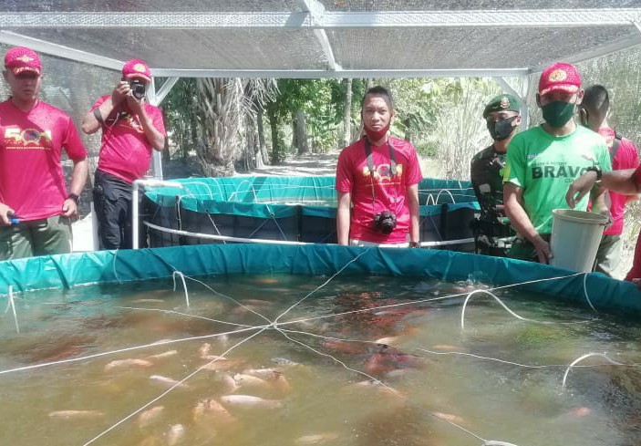 Antisipasi Dampak Covid-19, Prajurit Yonif Para Raider 501/BY Bantu Warga dengan Budi Daya Ikan dan Sayur