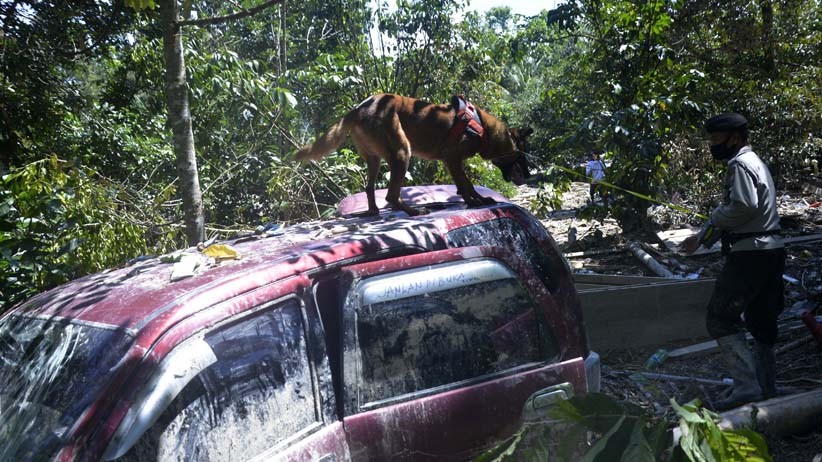 Anjing Pelacak Dikerahkan untuk Cari Korban Hilang Banjir Bandang Luwu Utara - Bagian 2
