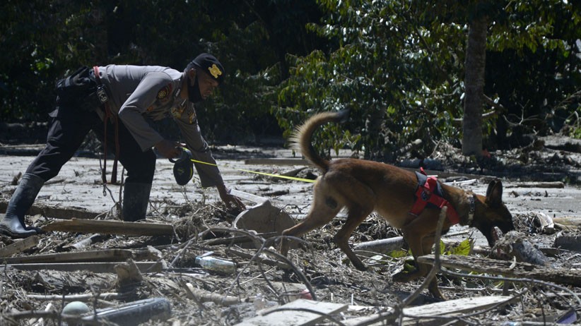 Anjing Pelacak Dikerahkan untuk Cari Korban Hilang Banjir Bandang Luwu Utara - Bagian 3